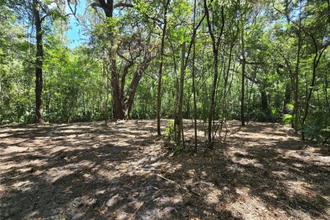 Terreno en venta en Inverness, Florida № 1883331 - foto 21