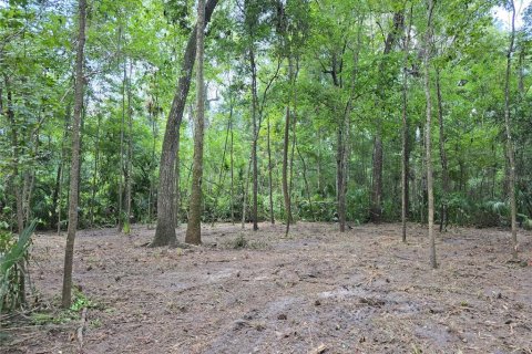 Terreno en venta en Inverness, Florida № 1883331 - foto 30