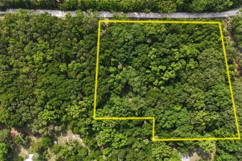 Terreno en venta en Inverness, Florida № 1883331 - foto 1