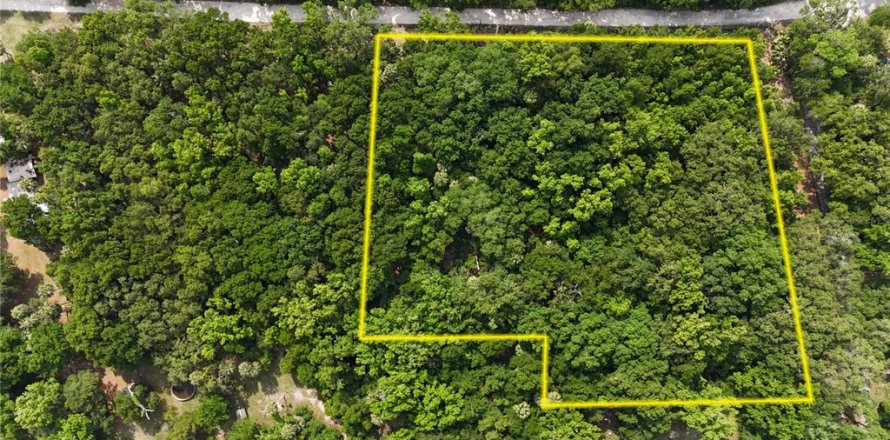Land in Inverness, Florida № 1883331