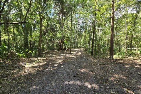 Terreno en venta en Inverness, Florida № 1883331 - foto 24