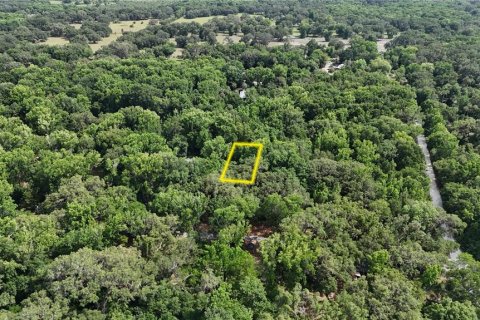 Terreno en venta en Inverness, Florida № 1883331 - foto 11