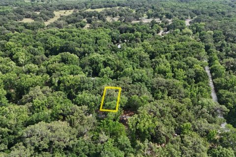 Terreno en venta en Inverness, Florida № 1883331 - foto 10