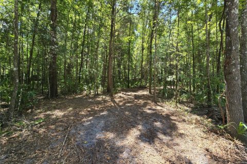 Terreno en venta en Inverness, Florida № 1883331 - foto 15