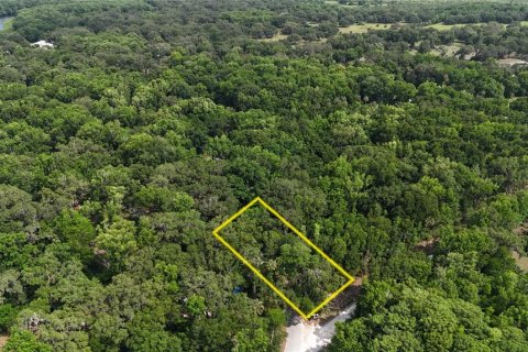 Terreno en venta en Inverness, Florida № 1883331 - foto 7