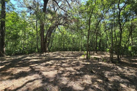 Terreno en venta en Inverness, Florida № 1883331 - foto 18