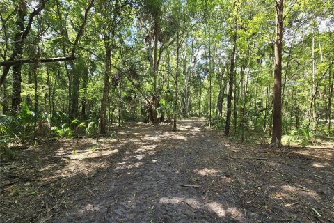 Terreno en venta en Inverness, Florida № 1883331 - foto 25