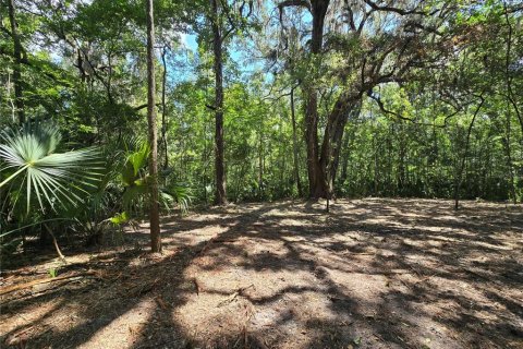 Terreno en venta en Inverness, Florida № 1883331 - foto 20