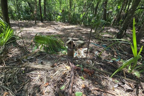 Terreno en venta en Inverness, Florida № 1883331 - foto 23