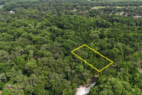 Terreno en venta en Inverness, Florida № 1883331 - foto 8