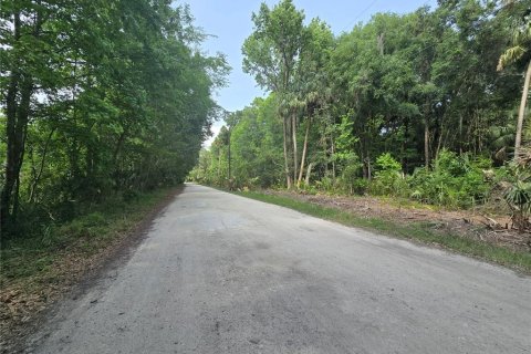 Terreno en venta en Inverness, Florida № 1883331 - foto 13