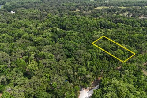 Terreno en venta en Inverness, Florida № 1883331 - foto 9