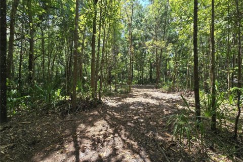 Terreno en venta en Inverness, Florida № 1883331 - foto 16