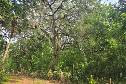 Terreno en venta en Inverness, Florida № 1883331 - foto 14
