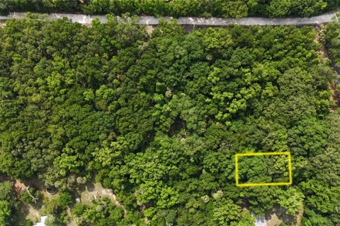 Terreno en venta en Inverness, Florida № 1883331 - foto 6