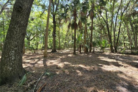 Terreno en venta en Inverness, Florida № 1883331 - foto 27