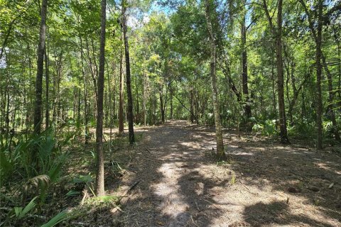 Terreno en venta en Inverness, Florida № 1883331 - foto 26