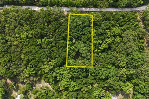 Terreno en venta en Inverness, Florida № 1883331 - foto 4