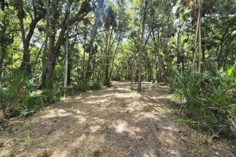 Terreno en venta en Inverness, Florida № 1883331 - foto 29