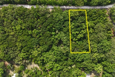 Terreno en venta en Inverness, Florida № 1883331 - foto 3