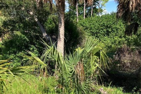 Villa ou maison à louer à North Port, Floride: 3 chambres, 116.96 m2 № 2428983 - photo 3