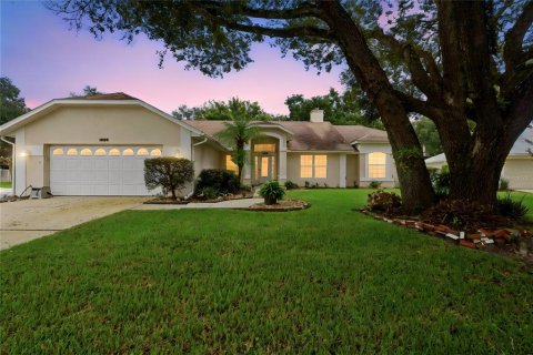 Villa ou maison à Winter Garden, Floride 3 chambres, 214.05 m2 № 2405140
