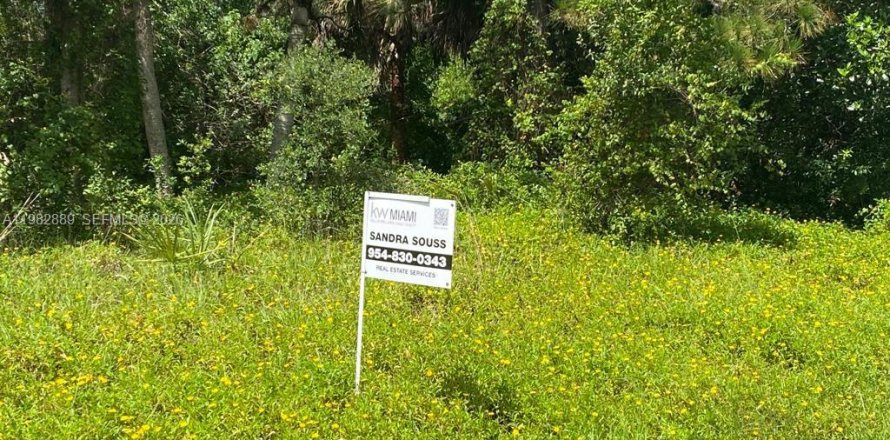 Земельный участок в Сент-Луси, Флорида № 2049325