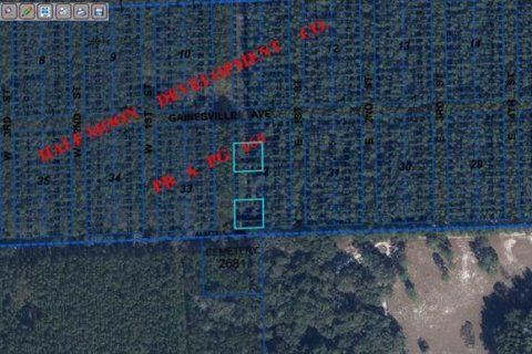 Land in Newberry, Florida № 1340456 - photo 2