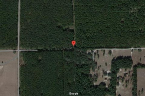 Land in Newberry, Florida № 1340456 - photo 5