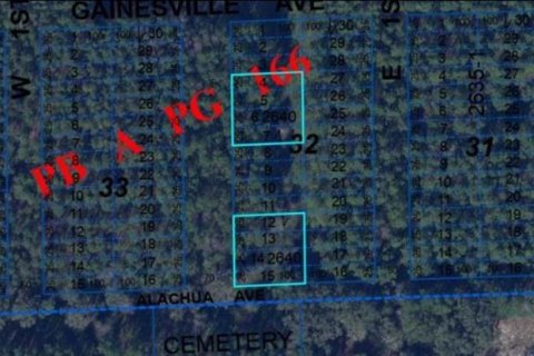 Land in Newberry, Florida № 1340456 - photo 3