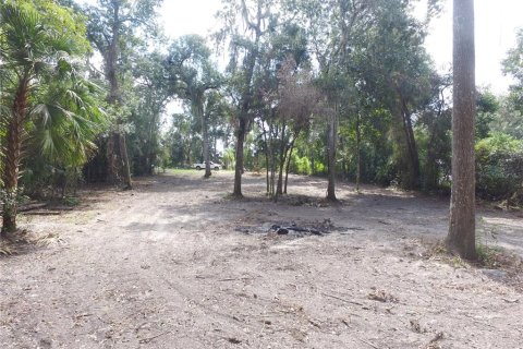 Land in Floral City, Florida № 2164150 - photo 3