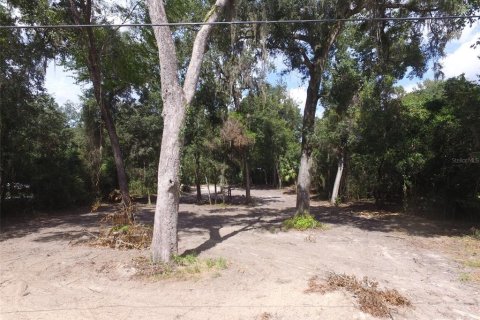 Land in Floral City, Florida № 2164150