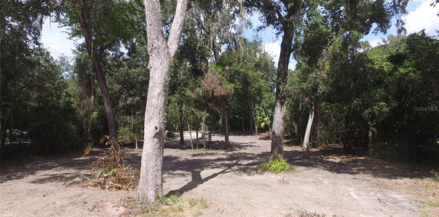 Land in Floral City, Florida № 2164150