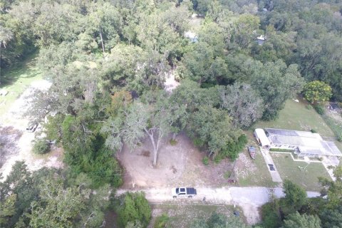 Land in Floral City, Florida № 2164150 - photo 4