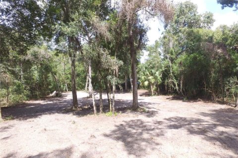Land in Floral City, Florida № 2164150 - photo 2