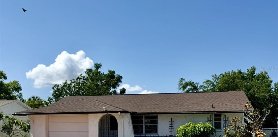 Villa ou maison à Port Richey, Floride 2 chambres, 91.04 m2 № 2232337