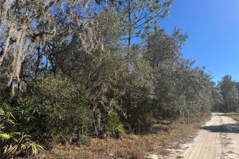 Land in DeLand, Florida № 2386713 - photo 3