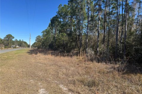 Land in DeLand, Florida № 2386713