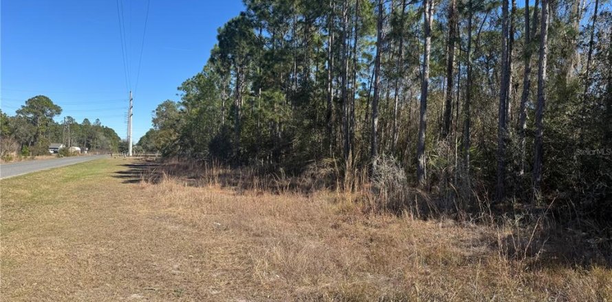 Land in DeLand, Florida № 2386713