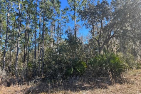 Land in DeLand, Florida № 2386713 - photo 2