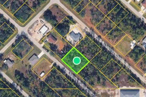 Land in Punta Gorda, Florida № 2163836 - photo 2