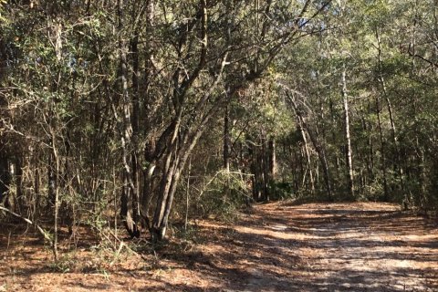 Land in Crestview, Florida № 559559 - photo 1