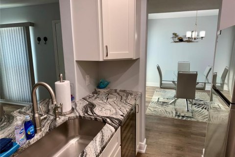 Condo in Madeira Beach, Florida, 2 bedrooms  № 1565832 - photo 11