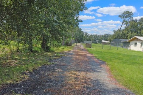 Land in Kissimmee, Florida № 1910368 - photo 15