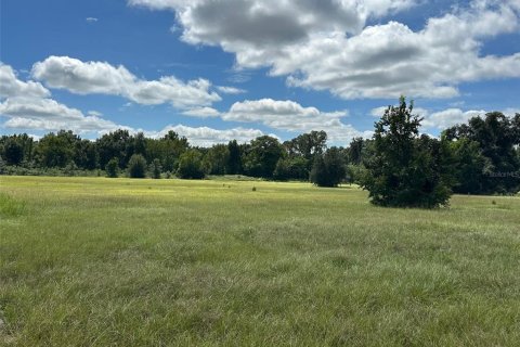 Terreno en venta en Ocala, Florida № 2388963 - foto 4