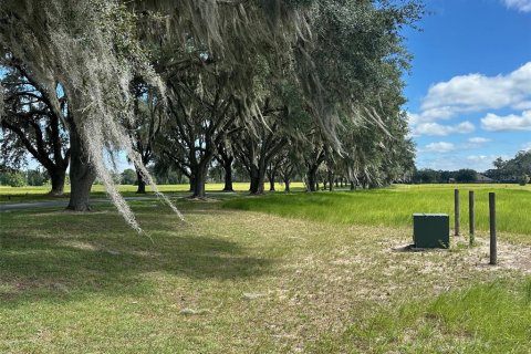 Terreno en venta en Ocala, Florida № 2388963 - foto 3