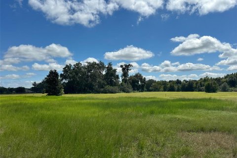 Terreno en venta en Ocala, Florida № 2388963 - foto 5