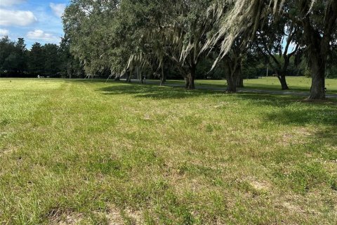 Terreno en venta en Ocala, Florida № 2388963 - foto 2