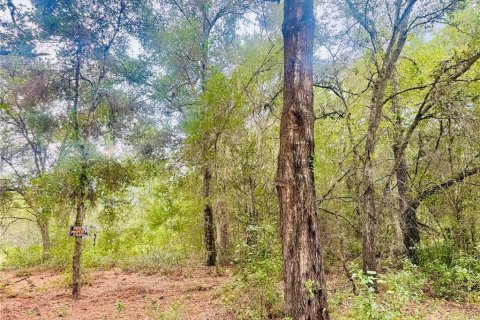 Land in Inverness, Florida № 2164198 - photo 2