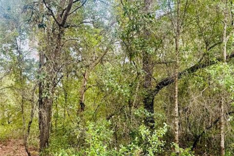 Land in Inverness, Florida № 2164198 - photo 6